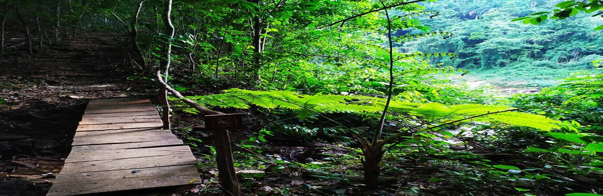 Hanabanilla Nature Trail